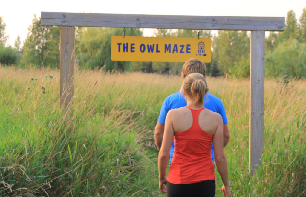 life size maze, grass maze