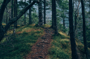 ottawa adventures trail